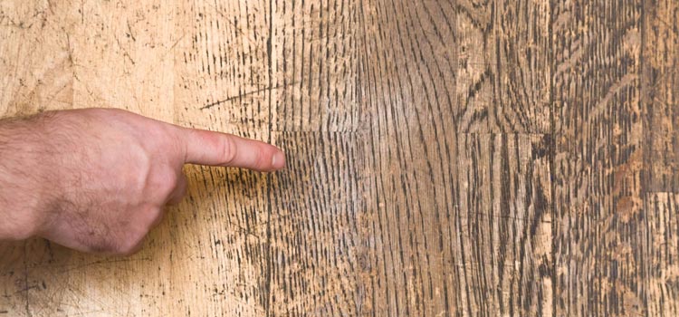 Wood Door Scratch Repair in Downey